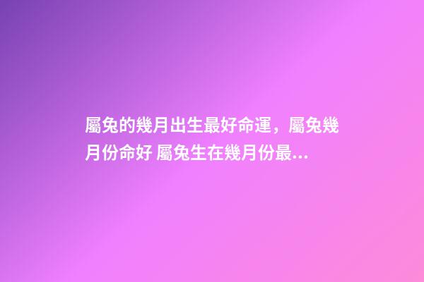 屬兔的幾月出生最好命運，屬兔幾月份命好 屬兔生在幾月份最好，屬兔幾月出生最好命運-第1張-觀點-玄機派